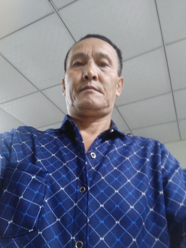 老树的第二张照片--扬州交友中心